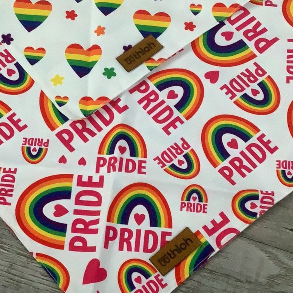 Pride Dog Bandanas - 2 Pack🌻 - Picture 3 of 4